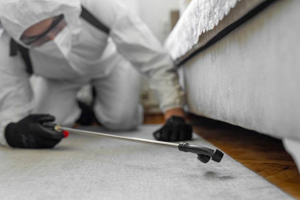 Professional Bed Bug Control technician working in Wilsonville, AL